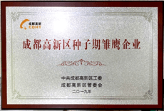高新區種子期雛鷹企業